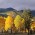 apartments in arizona: flagstaff