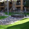 apts arizona: phesant run